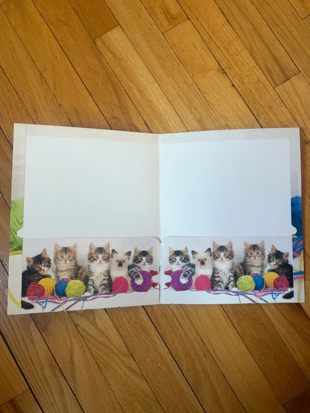2010 Class Act Keith Kimberlin Kittens Playing with Yarn Cat Folder Home Office